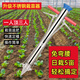 栽苗神器農用種菜種苗載番茄種辣椒移栽機器種植工具播種器種菜機 【雙把】栽苗器
