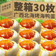 正宗廣西北海流油咸鴨蛋紅樹(shù)林海鹽不咸鹽蛋鴨蛋整箱烤海鴨蛋熟蛋 【嘗鮮】海咸鴨蛋6枚