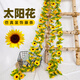 雙盟向日葵春節裝飾仿真花藤植物新年宵花下水管道遮擋客餐廳布置擺件