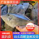新鮮藍尾剝皮扒皮魚(yú)耗兒魚(yú)馬面魚(yú)新鮮活速凍海鮮水產(chǎn)捕撈廣東發(fā)貨 高品質(zhì)藍尾扒皮魚(yú) 高品質(zhì)藍尾扒皮魚(yú)三斤實(shí)惠裝