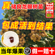 臨雅龍眼樹(shù)苖嫁接特大石硤水果儲良果樹(shù)果苗桂圓四季種植盆栽當年結果 【60-70cm】?jì)α箭堁?1棵