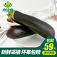 小湯山 長(cháng)茄子 約400g  新鮮蔬菜當天采摘北京農場(chǎng)順豐到家