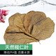憨憨樂園 大片欖仁葉水族箱天然降低魚缸PH值降酸調(diào)節(jié)改善水質(zhì)懶人葉