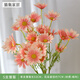 潤華年ins網(wǎng)紅清新小雛菊仿真花洋甘菊假花家居裝飾擺件寫(xiě)真拍照道具 香檳色荷蘭菊(5朵花) 1支裝(多支更好看)