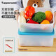 特百惠（Tupperware）保鮮盒  5.7升大容量雪影冷凍盒冰箱冷凍保鮮盒加大存儲盒 5.7升冷凍盒兩件套
