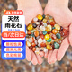 春曄雨花石鵝卵石七彩石花盆魚缸裝飾景觀石子 500g雨花石0.8-1.5cm