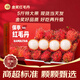 沐小七果蔬【EMS順豐速運-可送貨上門】海南保亭特大果紅毛丹 5斤裝 毛荔枝 5斤【雙人暢享-超劃算】凈4斤 禮盒+保溫箱+冰袋保鮮