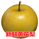 【順豐】湖北百里洲黃花梨砂梨現(xiàn)摘新鮮脆甜雪梨子沙梨翠冠梨 順豐快遞 5斤