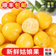 探味君【順豐包郵】東北姑娘果 新鮮水果現(xiàn)摘黃菇娘燈籠果香甜爆漿多汁 1斤凈0.8斤【中小果】130粒+/斤
