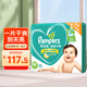 幫寶適（Pampers）超薄干爽紙尿褲綠幫男女寶寶通用尿不濕清新幫嬰兒尿褲中碼大碼 中碼M100片(6-11kg)