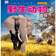 【京倉直發(fā) 極速送達(dá)】野生動(dòng)物大百科  彩圖注音版科普讀物 小眼睛看世界~~科學(xué)啟蒙認(rèn)知百科全書暑假閱讀暑假課外書課外暑假