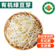 有機豆芽【順豐】嫩黃豆芽綠豆芽健康無(wú)農殘無(wú)激素孕婦寶寶蔬菜 綠豆芽 400g【不劃算貴在郵費】