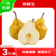 京鮮生山東煙臺丑梨凈重3斤 單果250g+ 冰淇淋蜜梨 生鮮水果 源頭直發(fā)