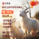 羊家旺羊肉寧夏灘羊肉30斤山羊整只白山羊新鮮現宰中秋禮盒源頭直發(fā)