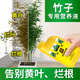 史丹利竹子專用營(yíng)養(yǎng)液急救葉子發(fā)黃干尖干葉爛根促生長(zhǎng)綠植家用復(fù)合肥料 竹子營(yíng)養(yǎng)液500ml