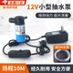 衛(wèi)辭小型抽水泵自動家用微型水鉆專用12v切割機水池換水潛水自吸泵 小型抽水泵12V【5米水管款】 動力強勁,低壓安全穩(wěn)定