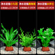 瘋狂水草免種植魚缸水草植物直接入缸小九冠水草鹿角茸水羅蘭源頭直發(fā)包郵