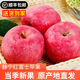 隴原紅靜寧蘋果  甘肅高山紅富士蘋果脆甜多汁產(chǎn)地直發(fā) 凈重10斤75-80mm24枚左右