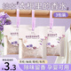 黎漾衣柜香包除味劑香囊香薰室內香氛袋臥室房間車(chē)載香片掛件除臭留香 【絲帶款3包】薰衣密語(yǔ) 【除異味/芬香衣柜】