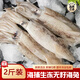 百鮮洽海兔子帶籽鮮活筆管魚(yú)海鮮新鮮全籽籽烏冷凍墨魚(yú)仔烏賊小魷魚(yú)水產(chǎn) 鮮凍無(wú)籽海兔 500g(凈重)  *2袋
