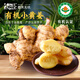 姜來(lái)無(wú)憂有機(jī)正宗云南小黃姜生姜新鮮姜羅平農(nóng)家高山老姜沙姜小黃姜 2.5kg【5斤 全程露天有機(jī)種植】