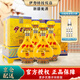 伊力特白酒整箱新疆伊犁特產(chǎn)純糧食酒天山雪水百年綿柔精致禮盒送禮 50度 500mL 4瓶 玖伍至尊