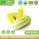 有機(jī)匯有機(jī)娃娃菜 有機(jī)蔬菜火鍋涮菜 有機(jī)認(rèn)證基地自種 新鮮采收無農(nóng)殘 500g