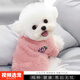 伊寵比熊幼犬純種小狗活物小型犬寵物狗狗活體幼崽 寵物級 A級 母