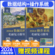 當(dāng)當(dāng)網(wǎng)】2026王道408計(jì)算機(jī)考研王道數(shù)據(jù)結(jié)構(gòu)操作系統(tǒng)計(jì)算機(jī)網(wǎng)絡(luò)計(jì)算機(jī)組成原理考研復(fù)習(xí)指導(dǎo)計(jì)算機(jī)考研基礎(chǔ)考試歷年真題沖刺模擬 2026數(shù)據(jù)結(jié)構(gòu)+操作系統(tǒng)