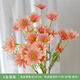 ins網(wǎng)紅清新小雛菊仿真花洋甘菊假花家居裝飾擺件寫(xiě)真拍照道具 香檳色荷蘭菊(5朵花) 1支(多支更好看)30朵小花