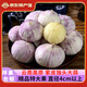 玉燕妃云南正宗新鮮紫皮獨頭大蒜獨蒜干蒜 農家露天自種助農生鮮蔬菜 4-4.5cm干蒜 獨頭紫皮蒜 5斤