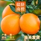 贛南臍橙橙子正宗精品當季新鮮水果手剝橙甜橙子10斤贛州南康原產(chǎn)地直發(fā) 高維C正宗贛南臍橙精品9.5斤中果精選品質(zhì)7-8cm禮盒裝