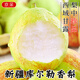 京地達新疆庫爾勒香梨梨子梨水果 凈含量9斤單果100g+源頭直發(fā)包郵