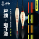 船長漂蘆魂電子夜光漂日夜兩用高靈敏硬尾 D01—2（吃鉛1.64克）2顆電池