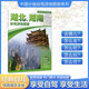 2025年新版 湖北 湖南自駕游地圖冊-中國分省自駕游地圖冊系列(第2版)(湖北地圖 湖南地圖 旅游地圖)旅行裝備 自駕游裝備