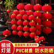 阿寶麗16個植絨小燈籠結(jié)婚喬遷盆景新家裝飾布置戶外防水樹上掛飾紅燈籠