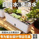芷郁陽(yáng)臺種菜盆長(cháng)方窄形花盆水位可視長(cháng)條懶人蔬菜種植專(zhuān)用箱窗臺草莓
