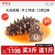 好參道大連直發(fā)深海遼刺參底播即食海參海鮮水產(chǎn)禮盒裝 1500g 24-30只 御品