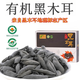 FENBAI小碗耳有機小碗耳正宗東北特產(chǎn)黑木耳有機小碗耳野生秋木耳干貨 有機黑木耳1盒250g