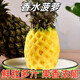云南當(dāng)季特產(chǎn)香水菠蘿產(chǎn)地現(xiàn)摘現(xiàn)發(fā)新鮮應(yīng)季水果香甜多汁鳳梨 3斤【特惠嘗鮮】 中果300-500g