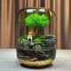苔蘚微景觀生態(tài)瓶趣味造景綠植創(chuàng)意盆栽盆景魚缸好養(yǎng)活桌面臥室 小貓釣魚（煙灰色） 16*16*22（圓）/15*15*20（超白缸）