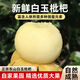 新鮮白沙枇杷現(xiàn)摘超甜新鮮孕婦水果順豐貴妃白玉枇杷 （30-45g）品質(zhì)鮮果+順豐到家 1斤