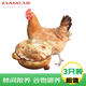 大用 三黃雞 凈重1.6斤*3只 冷凍 散養(yǎng)雞走地雞煲湯食材 清真食品