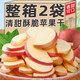 山東煙臺蘋(píng)果干凍干蘋(píng)果脆片特產(chǎn)脫水整箱無(wú)添加蘋(píng)果干休閑零食品 【超值】?jì)龈商O(píng)果干250克*2袋