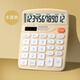 寶克（BAOKE）EC837 彩色桌面計算機12位大屏幕雙電源 桌面通用辦公時(shí)尚計算器 卡其色