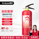 援邦（YUANBANG）車(chē)載滅火器2kg家用車(chē)用手提式干粉滅火器2公斤消防器材MFZ/ABC2