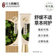 老中醫（LAOZHONGYI）植抗綠草膏舒緩肌膚不適改善泛紅提升肌膚吸收力百搭產(chǎn)品男女士霜 植抗綠草膏20g