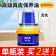 ONEFULL鞋油擦鞋神器黑色真皮保養(yǎng)油無(wú)色通用皮鞋皮革護(hù)理保養(yǎng)油 無(wú)色 50ml 1瓶