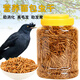 冠之亞八哥飼料鷯哥鳥糧專用食糧鳥食鳥飼料黑八畫眉營養(yǎng)鳥糧面包蟲干 1200ml八哥面包蟲干