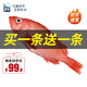 鱘食活凍石斑魚(yú)野外生長(cháng)海捕龍膽珍珠斑 老虎斑生鮮魚(yú)類(lèi)海鮮 紅石斑魚(yú)650-750g/條【送同款】